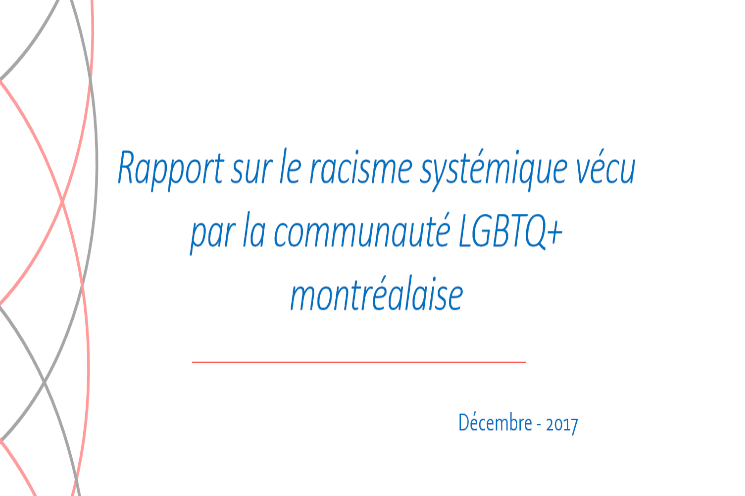Rapport sur le racisme systémique – LGBTQ+